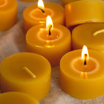 Product by Vendor. Eco-Friendly, Sustainable Products. Perfect for eco-conscious consumers.