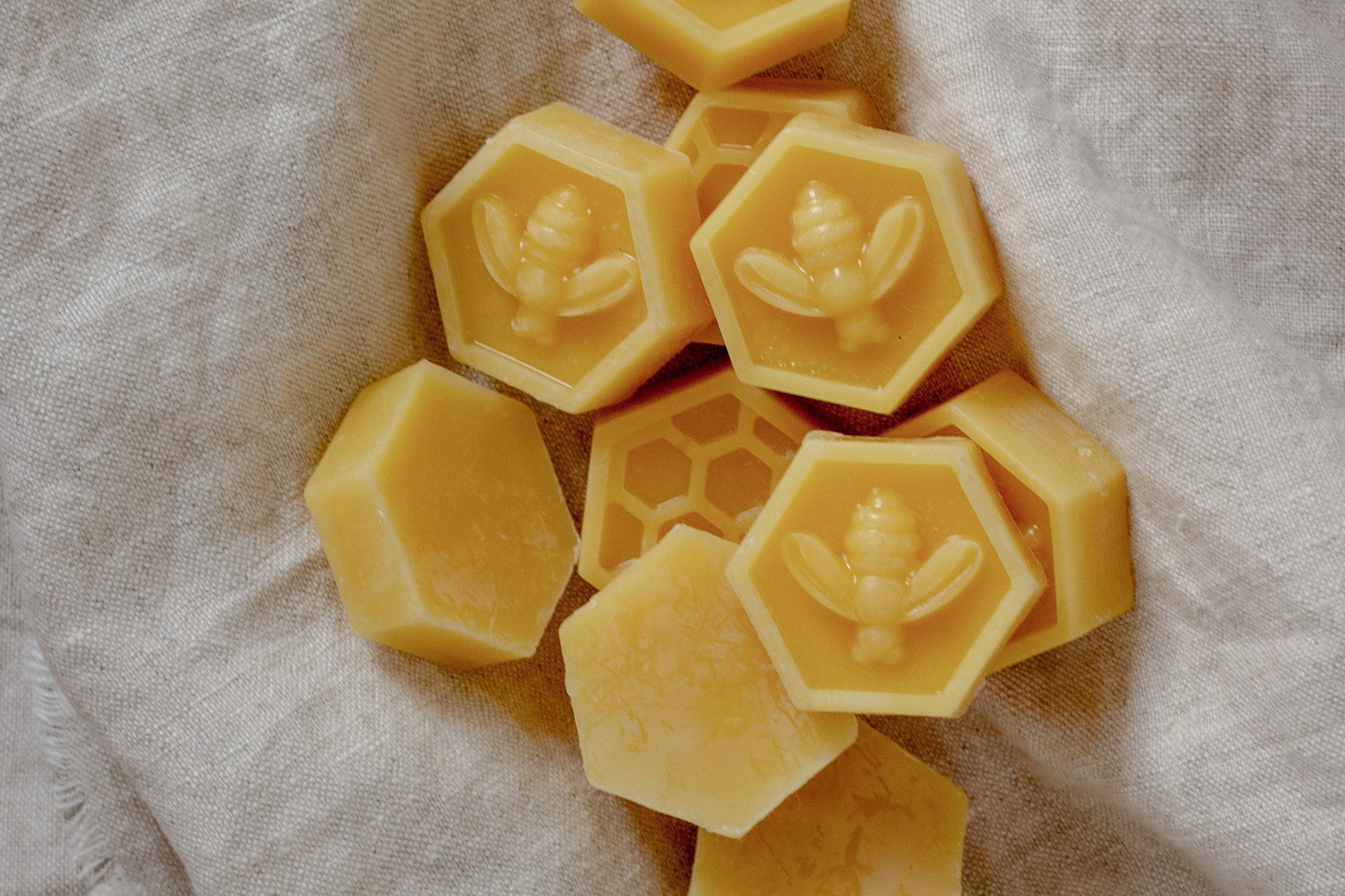 10 Simple Ways to Help Bees in Your Garden