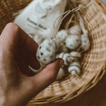 Product by Vendor. Eco-Friendly, Sustainable Products. Perfect for eco-conscious consumers.