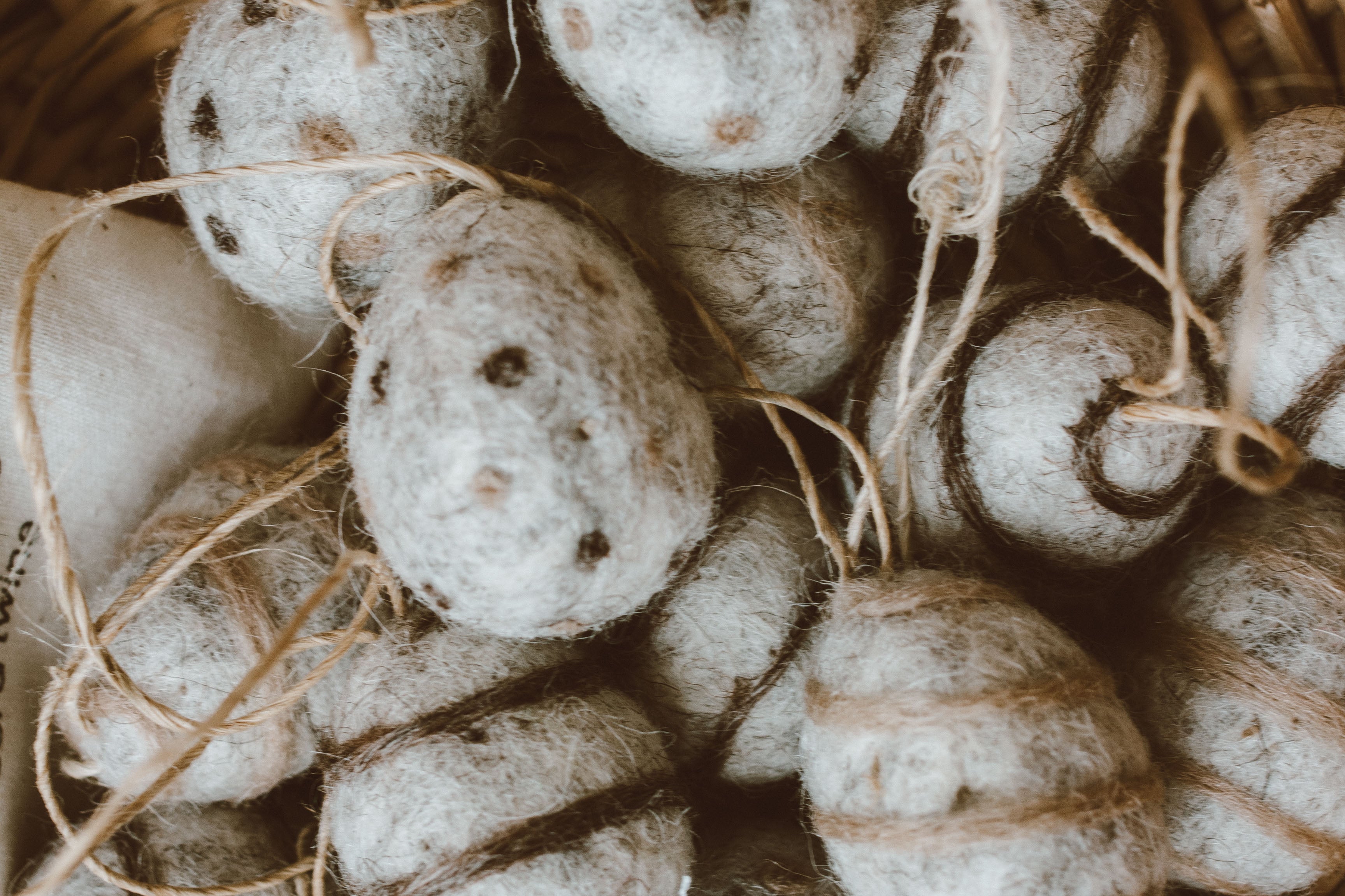 Product by Vendor. Eco-Friendly, Sustainable Products. Perfect for eco-conscious consumers.